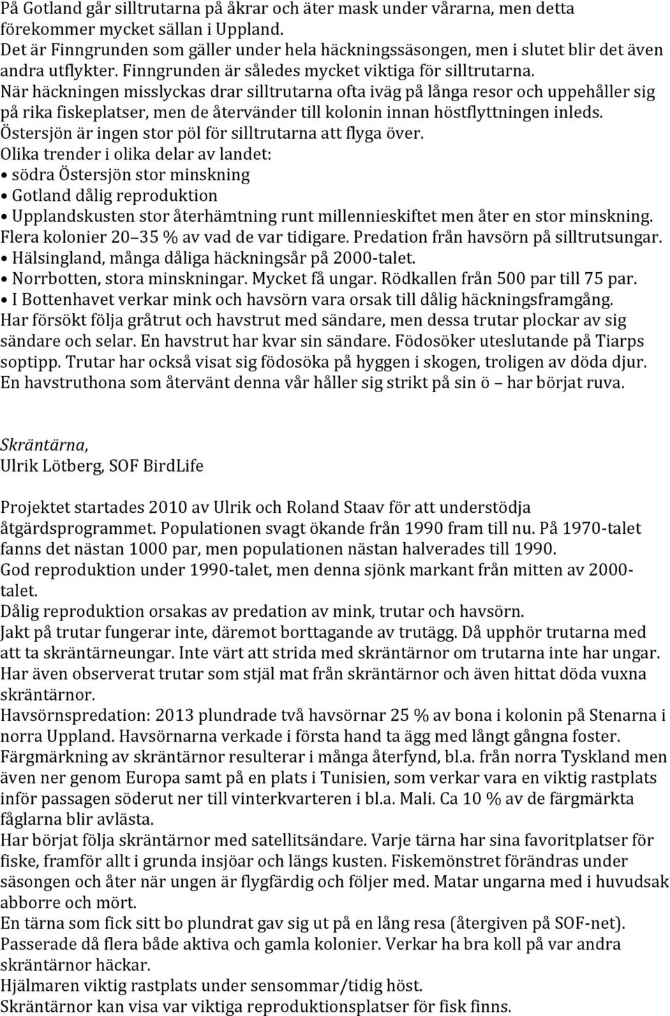 När häckningen misslyckas drar silltrutarna ofta iväg på långa resor och uppehåller sig på rika fiskeplatser, men de återvänder till kolonin innan höstflyttningen inleds.