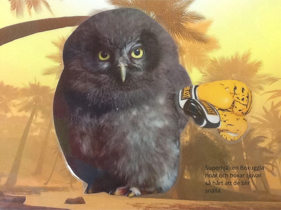 boxar tjuvar så