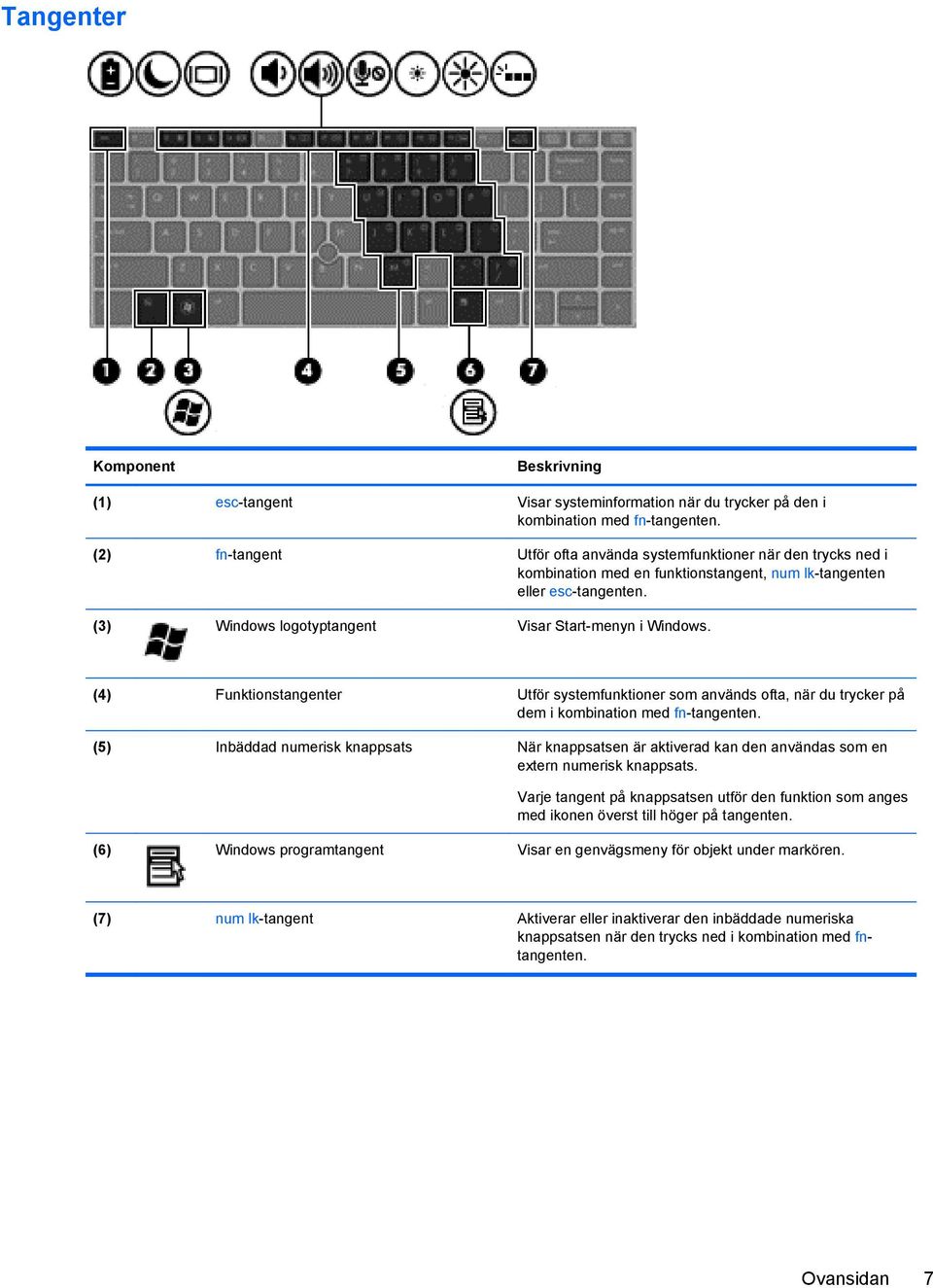 (3) Windows logotyptangent Visar Start-menyn i Windows. (4) Funktionstangenter Utför systemfunktioner som används ofta, när du trycker på dem i kombination med fn-tangenten.