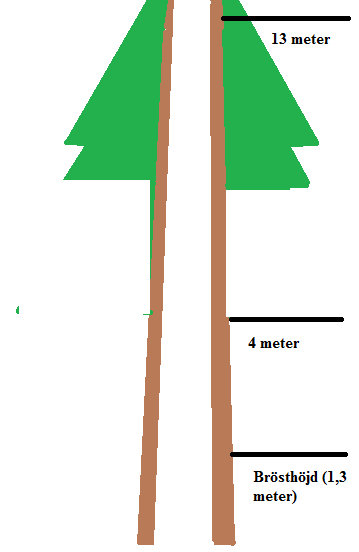 14 Figur 2.2. Bilden föreställer en gran där det vita i stammen representerar kärnvedsdiametern.