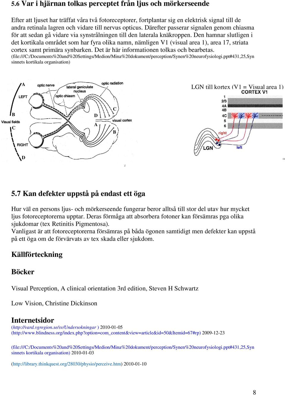 Den hamnar slutligen i det kortikala området som har fyra olika namn, nämligen V1 (visual area 1), area 17, striata cortex samt primära synbarken. Det är här informationen tolkas och bearbetas.