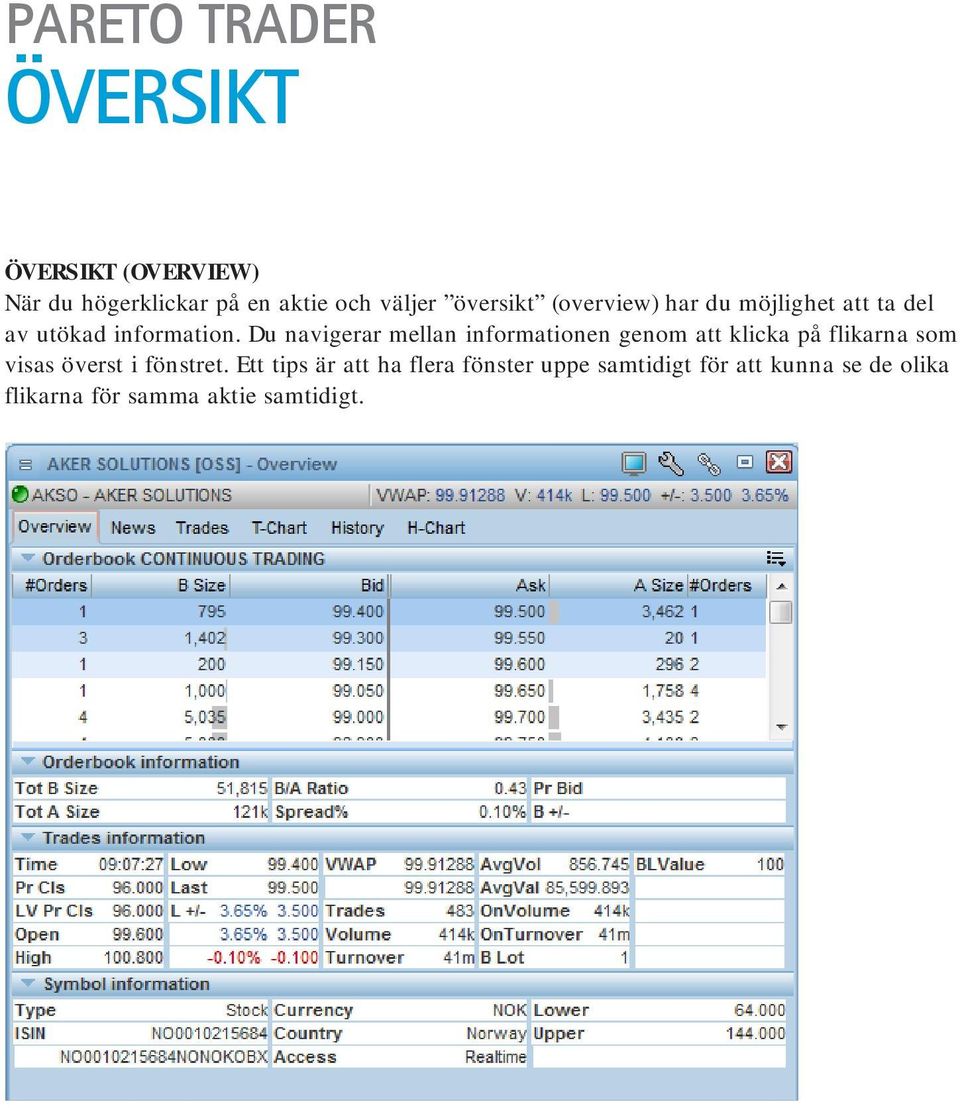 Du navigerar mellan informationen genom att klicka på flikarna som visas överst i