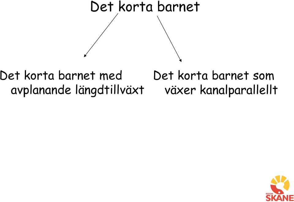 längdtillväxt Det korta