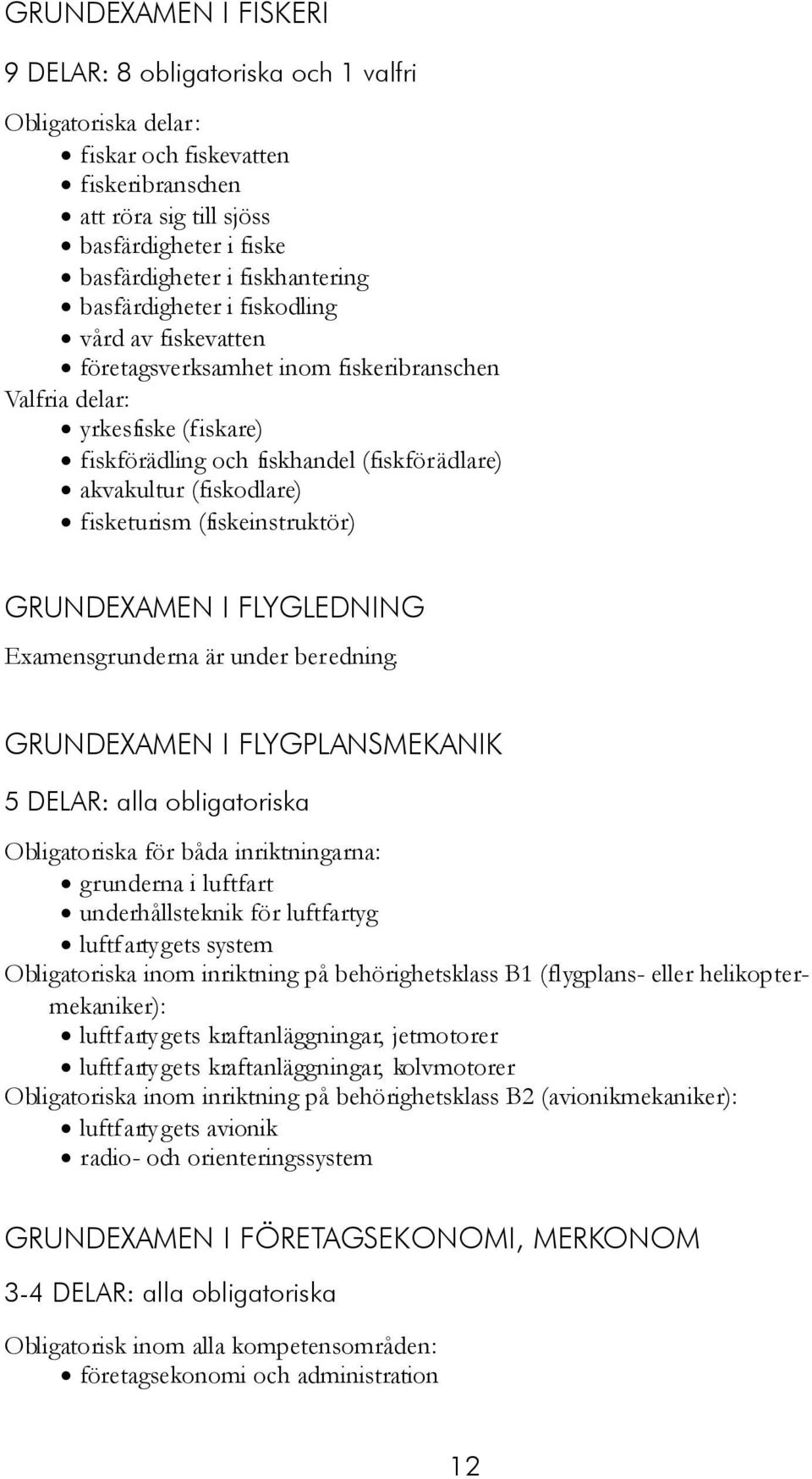 GRUNDEXAMEN I FLYGLEDNING Examensgrunderna är under beredning.