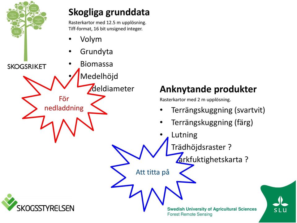 Volym Grundyta Biomassa Medelhöjd Medeldiameter Anknytande produkter Att titta på Rasterkartor