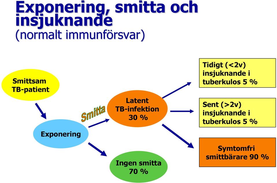 Ingen smitta 70 % Tidigt (<2v) insjuknande i tuberkulos 5 %