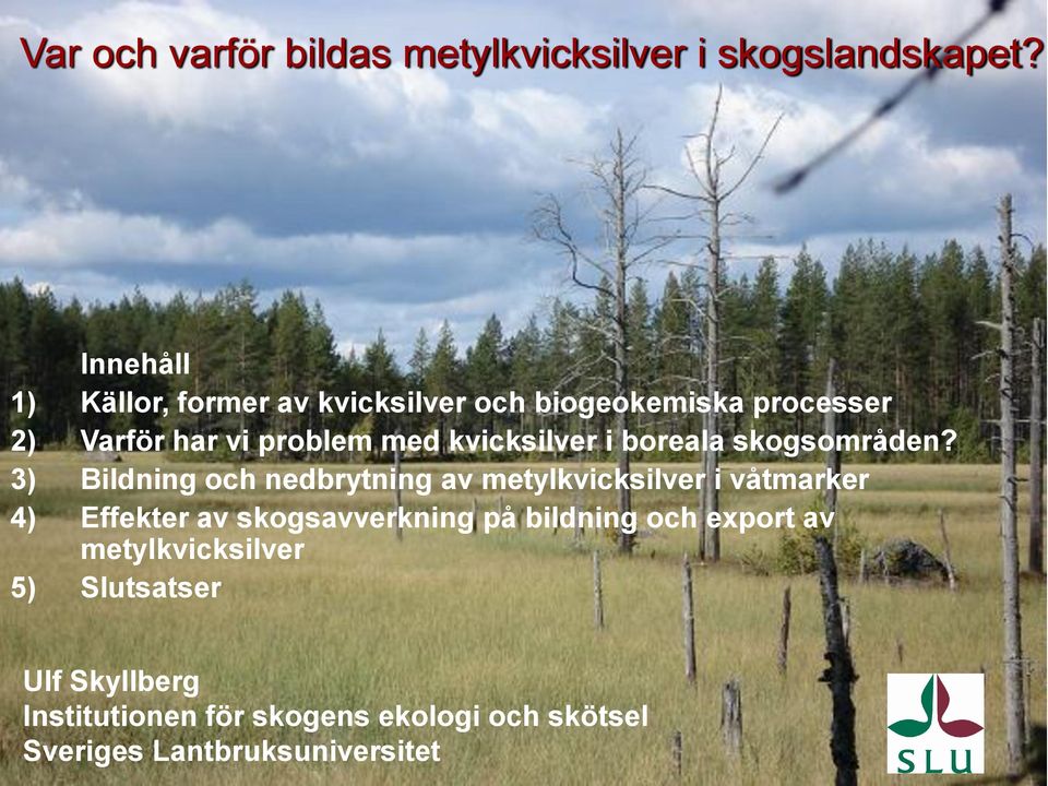 kvicksilver i boreala skogsområden?