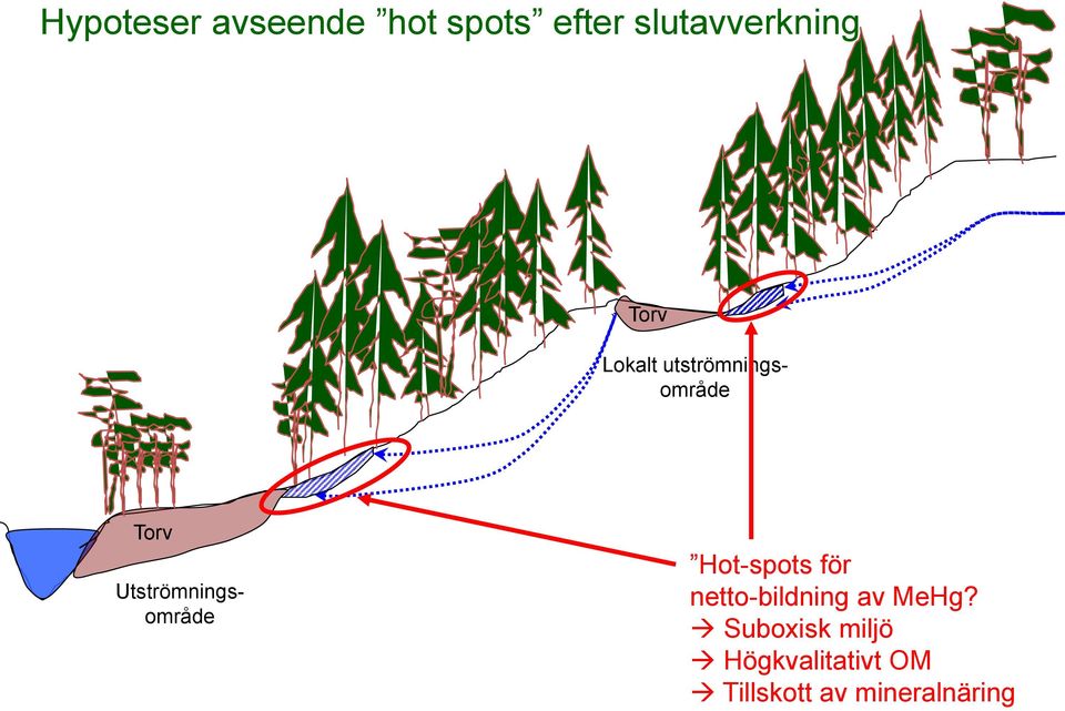 Utströmningsområde Hot-spots för netto-bildning av