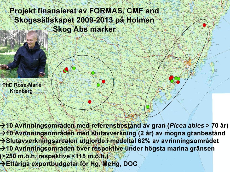 år) av mogna granbestånd Slutavverkningsarealen utgjorde i medeltal 62% av avrinningsområdet 10 Avrinningsområden