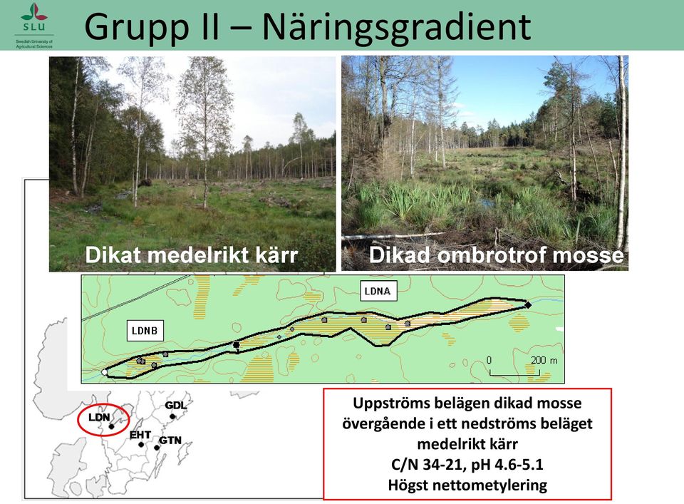mosse övergående i ett nedströms beläget