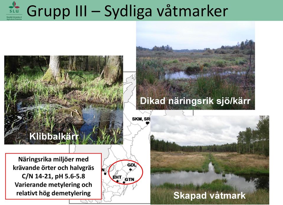 krävande örter och halvgräs C/N 14-21, ph 5.6-5.