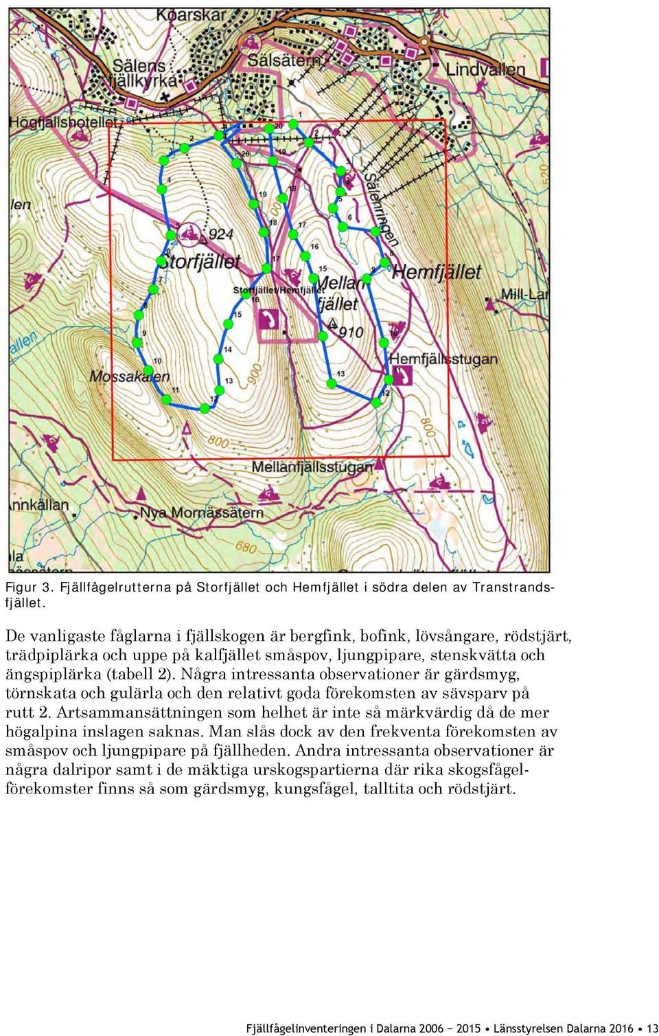 Några intressanta observationer är gärdsmyg, törnskata och gulärla och den relativt goda förekomsten av sävsparv på rutt 2.