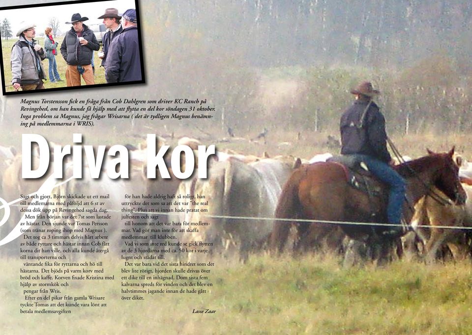 Driva kor Sagt och gjort, Björn skickade ut ett mail till medlemarna med påföljd att 6 st av dessa dök upp på Revingehed sagda dag. Men från början var det 7st som lastade av hästar.