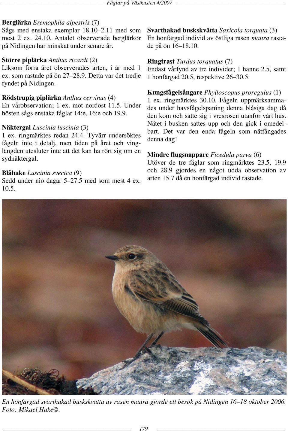 Rödstrupig piplärka Anthus cervinus (4) En vårobservation; 1 ex. mot nordost 11.5. Under hösten sågs enstaka fåglar 14:e, 16:e och 19.9. Näktergal Luscinia luscinia (3) 1 ex. ringmärktes redan 24.4. Tyvärr undersöktes fågeln inte i detalj, men tiden på året och vinglängden utesluter inte att det kan ha rört sig om en sydnäktergal.