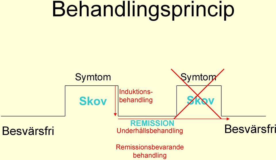 Besvärsfri REMISSION