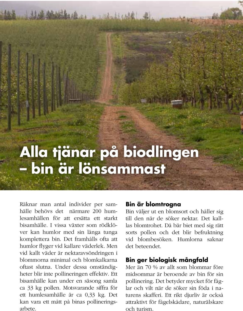 Men vid kallt väder är nektaravsöndringen i blommorna minimal och blomkalkarna oftast slutna. Under dessa omständigheter blir inte pollineringen effektiv.