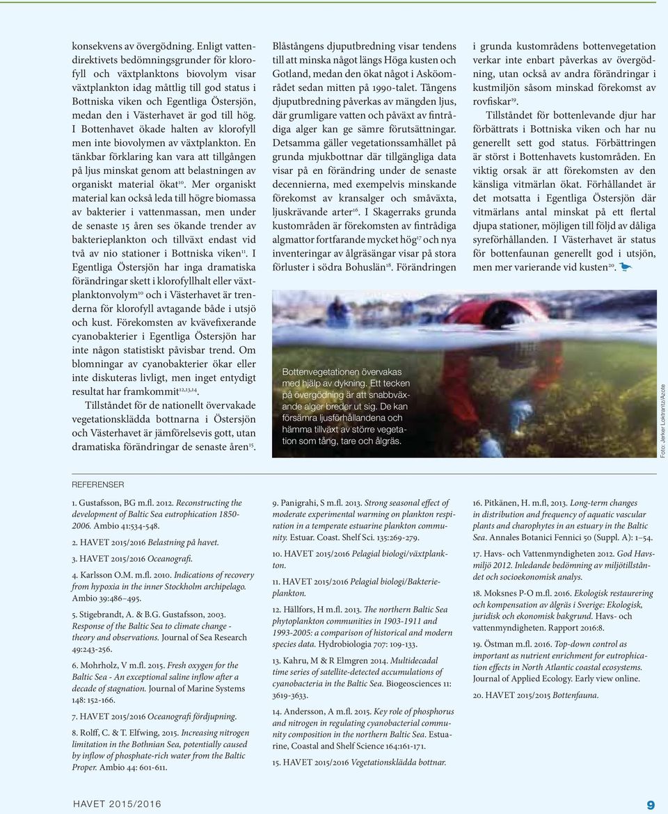 är god till hög. I Bottenhavet ökade halten av klorofyll men inte biovolymen av växtplankton.