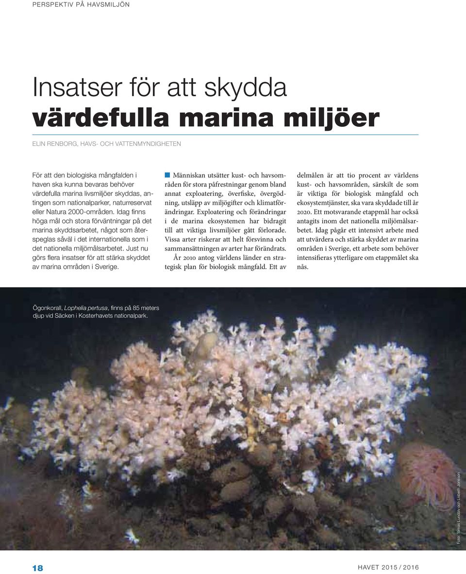 Idag finns höga mål och stora förväntningar på det marina skyddsarbetet, något som återspeglas såväl i det internationella som i det nationella miljömålsarbetet.