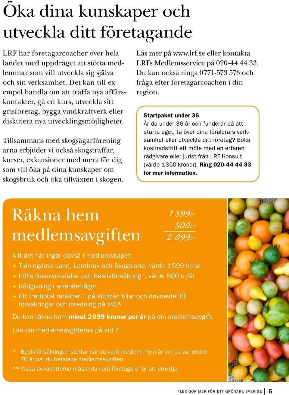 Tillsammans med skogsägarföreningarna erbjuder vi också skogsträffar, kurser, exkursioner med mera för dig som vill öka på dina kunskaper om skogsbruk och öka tillväxten i skogen. Läs mer på www.lrf.