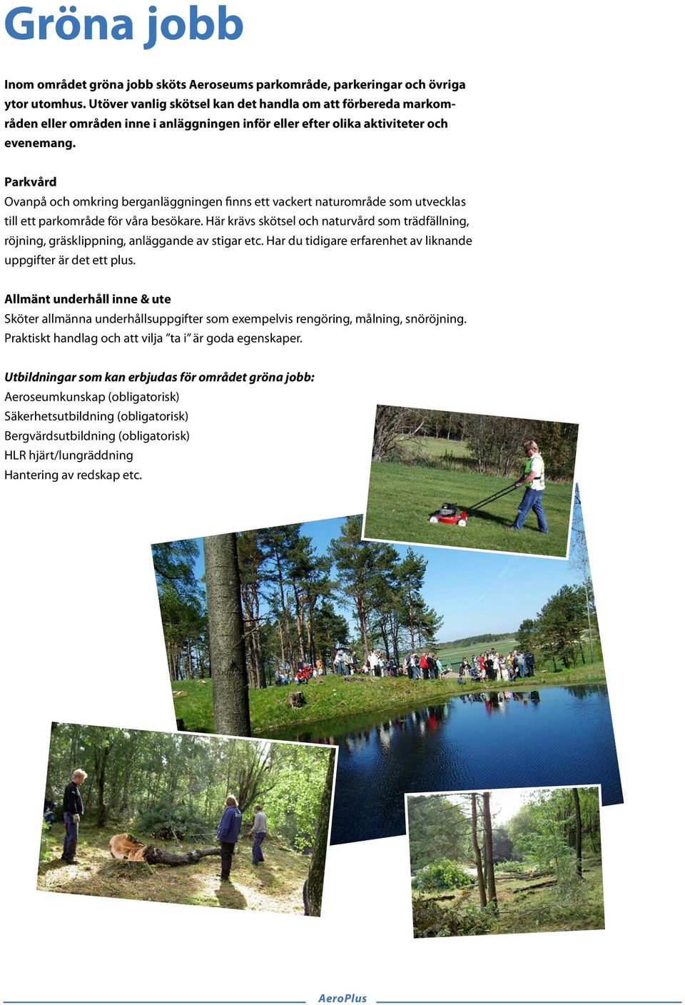 Parkvård Ovanpå och omkring berganläggningen finns ett vackert naturområde som utvecklas till ett parkområde för våra besökare.
