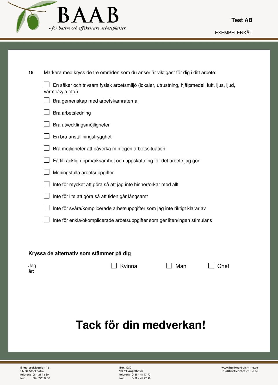 uppskattning för det arbete jag gör Meningsfulla arbetsuppgifter Inte för mycket att göra så att jag inte hinner/orkar med allt Inte för lite att göra så att tiden går långsamt Inte för