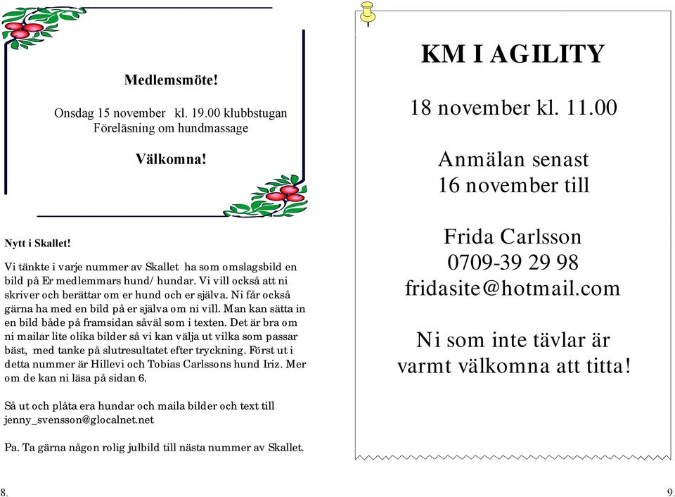 Det är bra om ni mailar lite olika bilder så vi kan välja ut vilka som passar bäst, med tanke på slutresultatet efter tryckning. Först ut i detta nummer är Hillevi och Tobias Carlssons hund Iriz.
