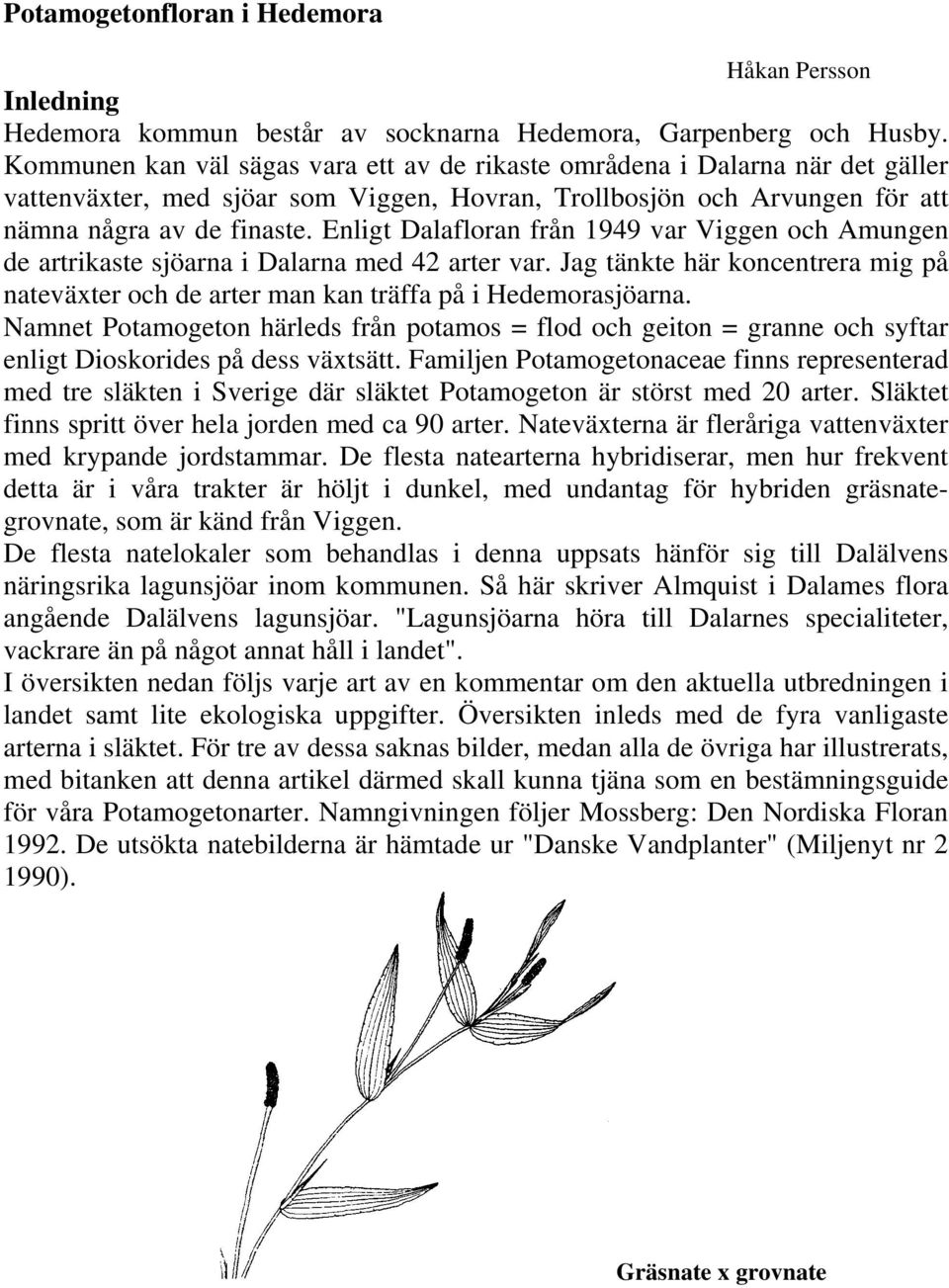 Enligt Dalafloran från 1949 var Viggen och Amungen de artrikaste sjöarna i Dalarna med 42 arter var. Jag tänkte här koncentrera mig på nateväxter och de arter man kan träffa på i Hedemorasjöarna.