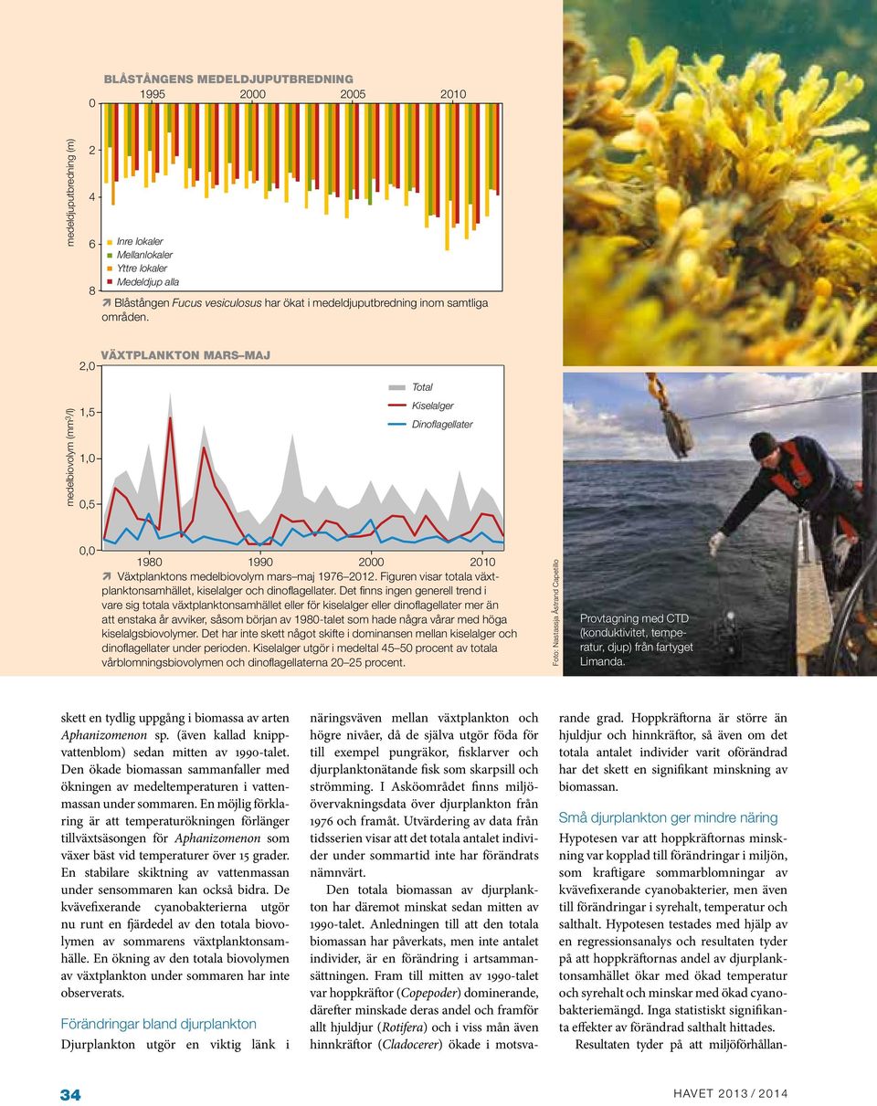 , VÄXTPLANKTON MARS MAJ HOPPKRÄFTOR VS CYANOBAKTERIER 1, medelbiovolym (mm 3 /l) 1,5 1,,5 Total Kiselalger Dinoflagellater hoppkräftor (% av biomassan) 1, 1,,,,, 19 199 1 n Växtplanktons