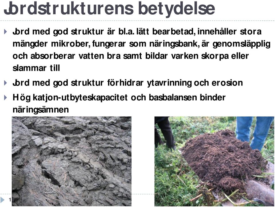 genomsläpplig och absorberar vatten bra samt bildar varken skorpa eller slammar till }