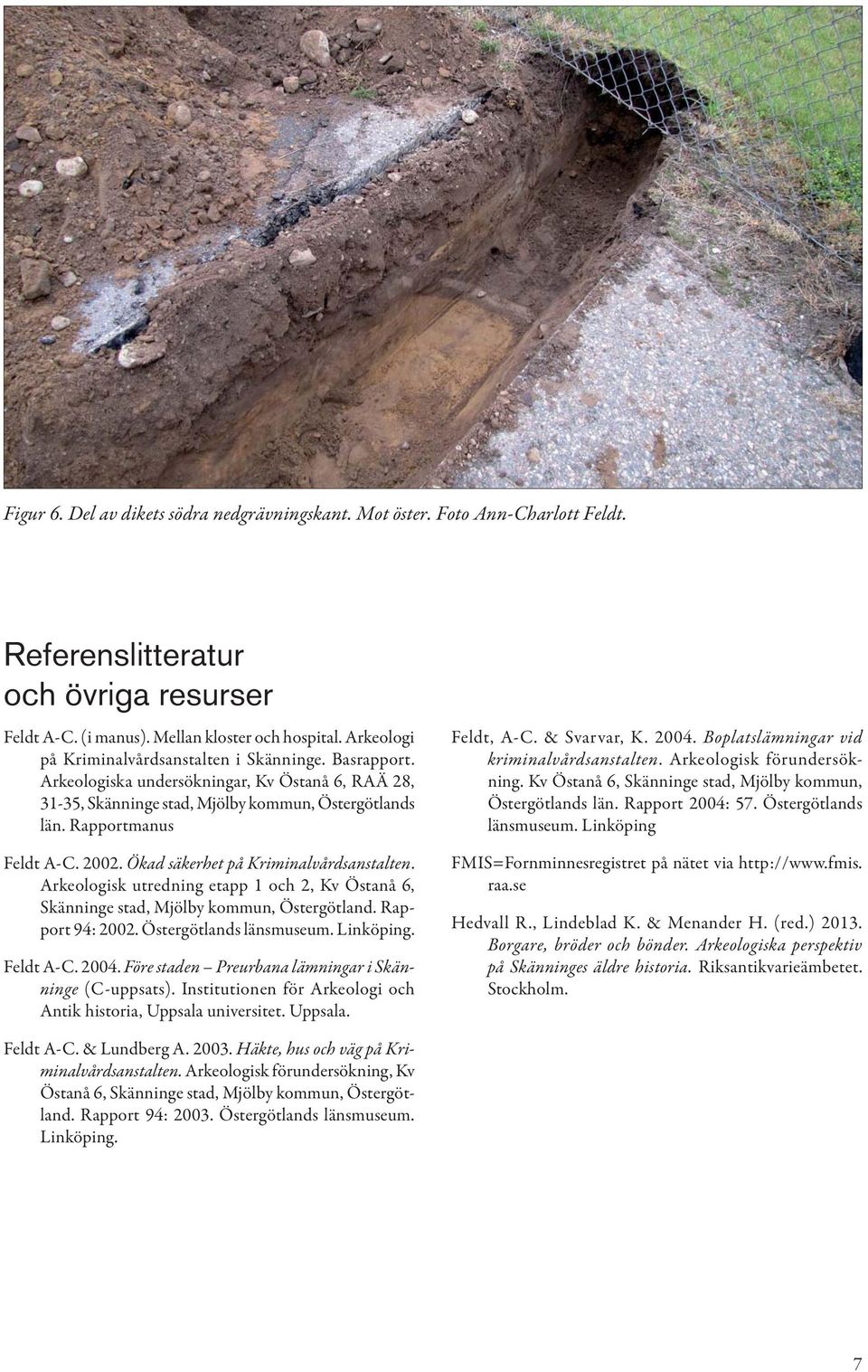 Ökad säkerhet på Kriminalvårdsanstalten. Arkeologisk utredning etapp 1 och 2, Kv Östanå 6, Skänninge stad, Mjölby kommun, Östergötland. Rapport 94: 2002. Östergötlands länsmuseum. Linköping.