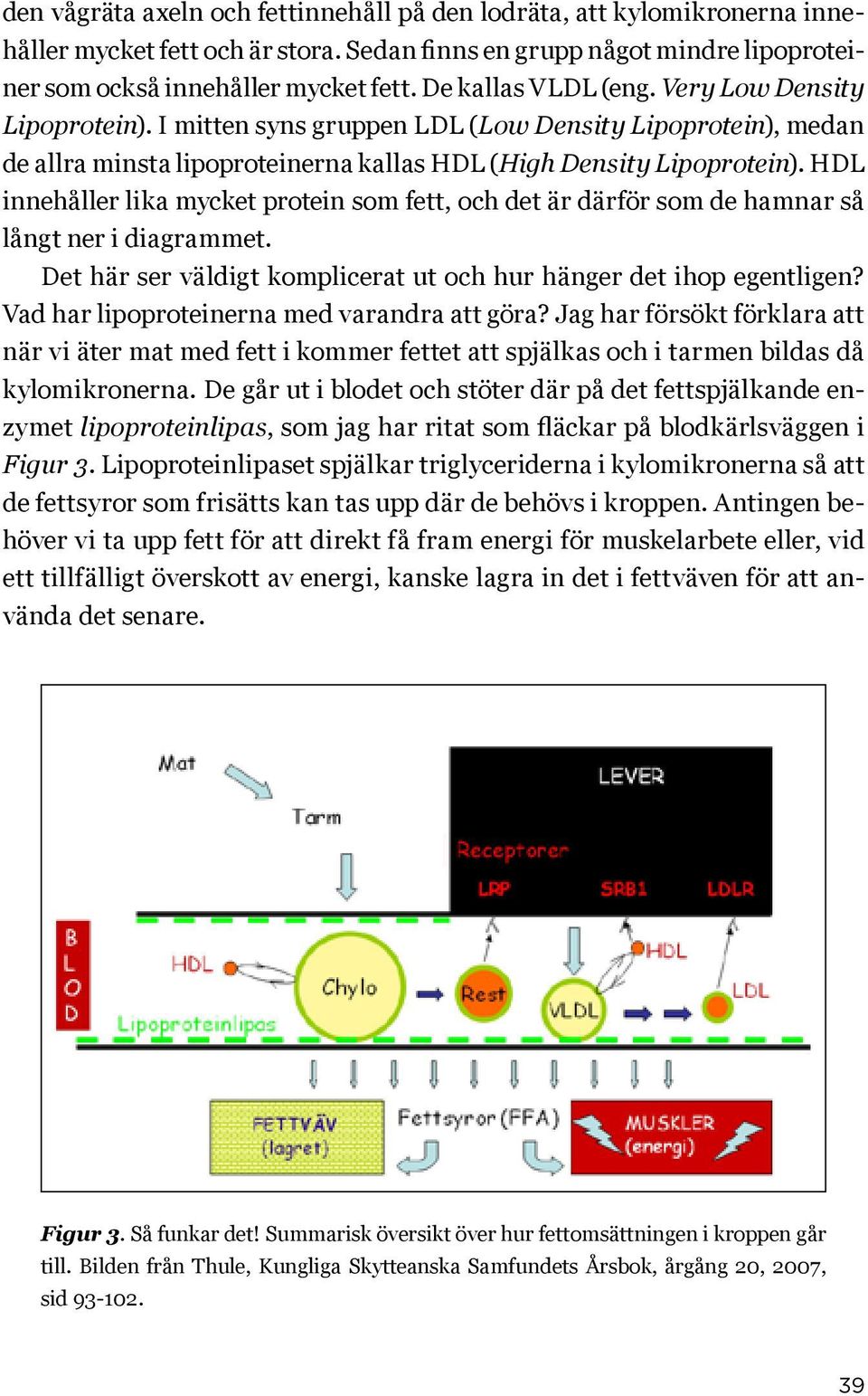 HDL innehåller lika mycket protein som fett, och det är därför som de hamnar så långt ner i diagrammet. Det här ser väldigt komplicerat ut och hur hänger det ihop egentligen?