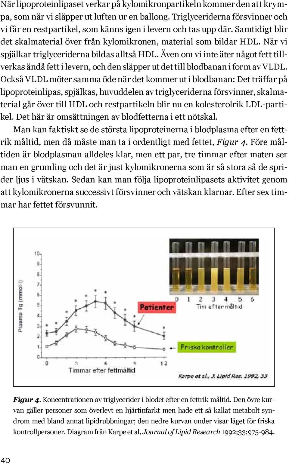 När vi spjälkar triglyceriderna bildas alltså HDL. Även om vi inte äter något fett tillverkas ändå fett i levern, och den släpper ut det till blodbanan i form av VLDL.