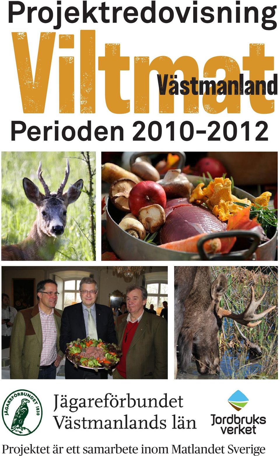 2010-2012 Projektet är ett