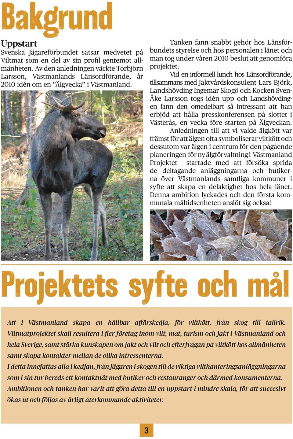 fann snabbt gehör hos Länsförbundets styrelse och hos personalen i länet och man tog under våren 2010 beslut att genomföra projektet.
