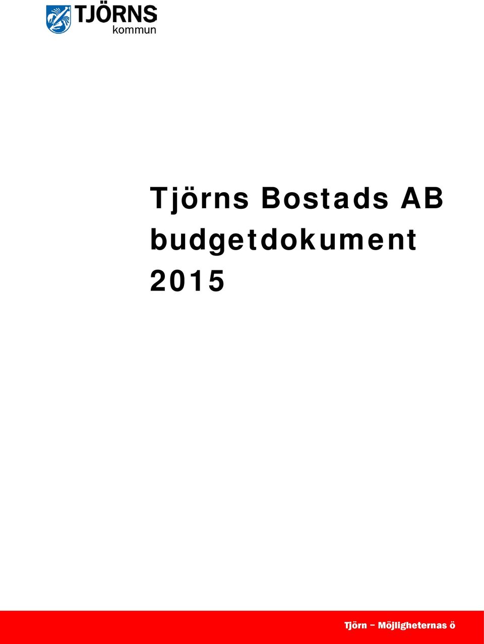 budgetdokument