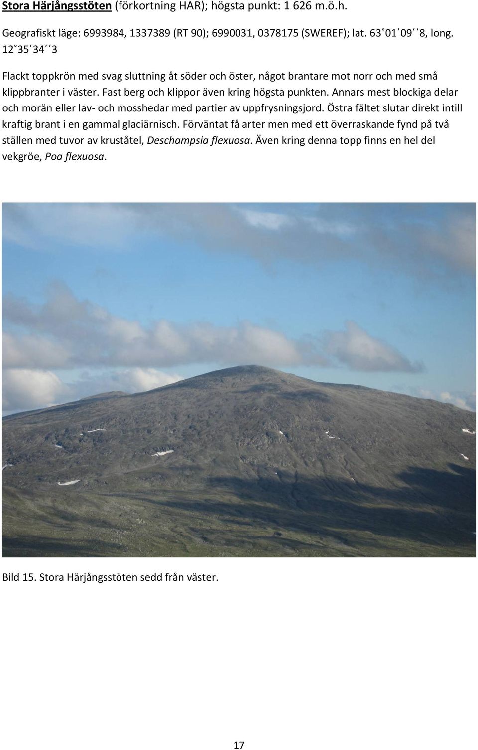 Annars mest blockiga delar och morän eller lav och mosshedar med partier av uppfrysningsjord. Östra fältet slutar direkt intill kraftig brant i en gammal glaciärnisch.