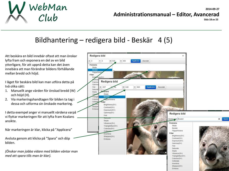 Manuellt ange värden för önskad bredd (W) och höjd (H). 2. Via markeringshandtagen för bilden ta tag i dessa och utforma sin önskade markering.