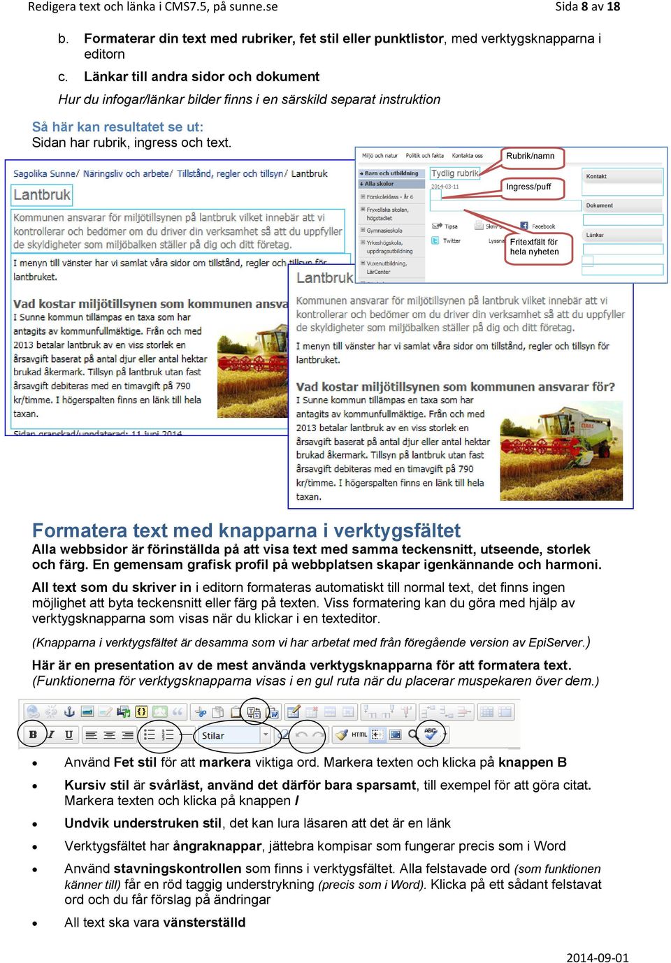 Rubrik/namn Ingress/puff Fritextfält för hela nyheten Formatera text med knapparna i verktygsfältet Alla webbsidor är förinställda på att visa text med samma teckensnitt, utseende, storlek och färg.