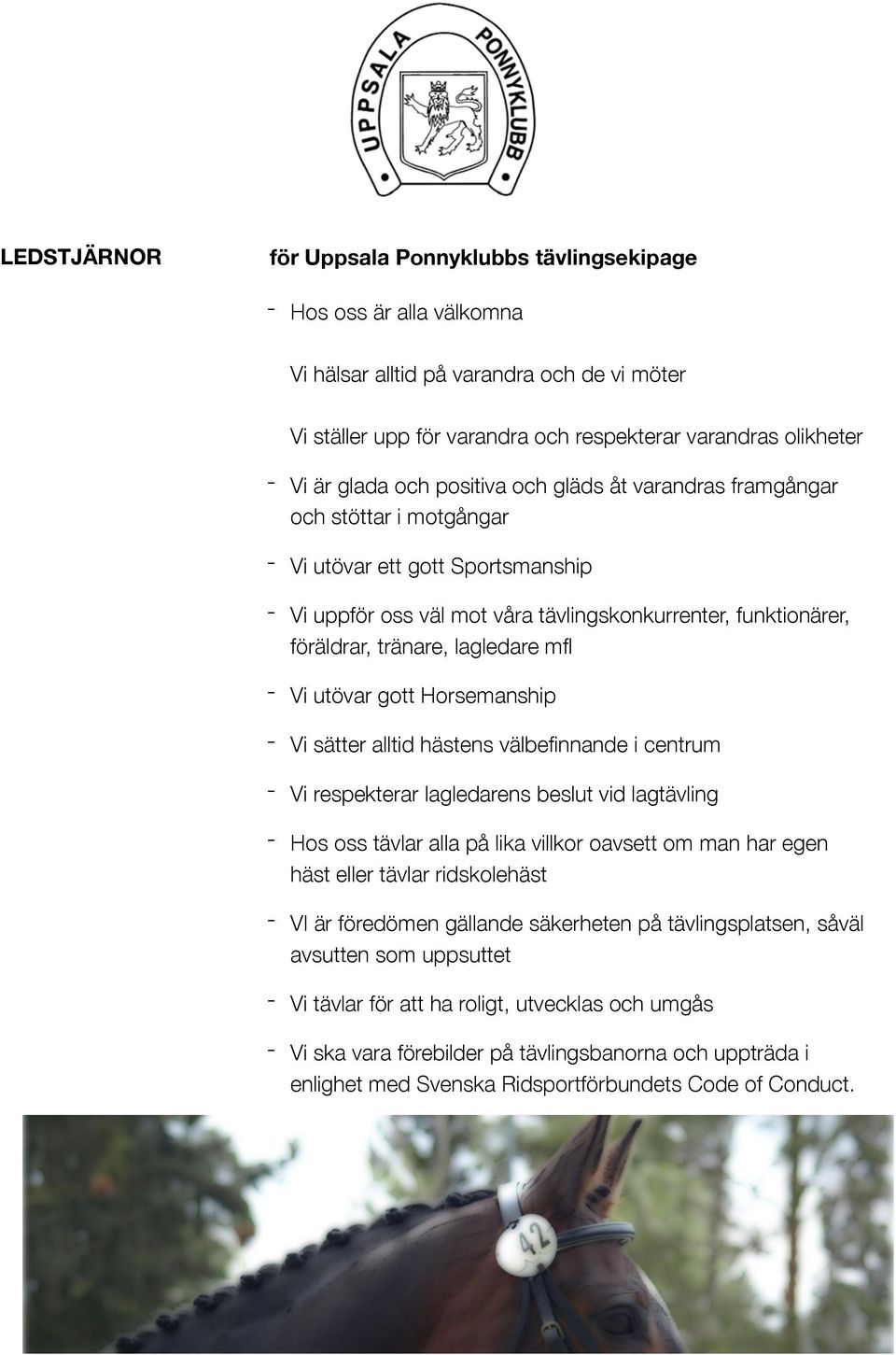 lagledare mfl - Vi utövar gott Horsemanship - Vi sätter alltid hästens välbefinnande i centrum - Vi respekterar lagledarens beslut vid lagtävling - Hos oss tävlar alla på lika villkor oavsett om man
