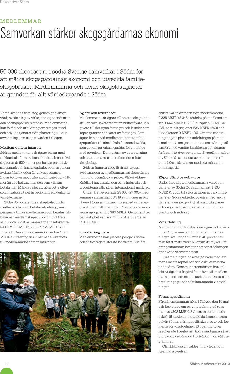 Medlemmarna kan få råd och utbildning om skogsskötsel och erbjuds tjänster från plantering till slutavverkning som skapar värden i skogen.