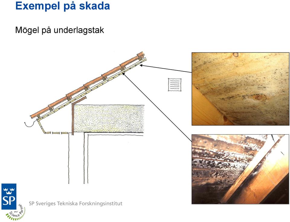 Mögel på