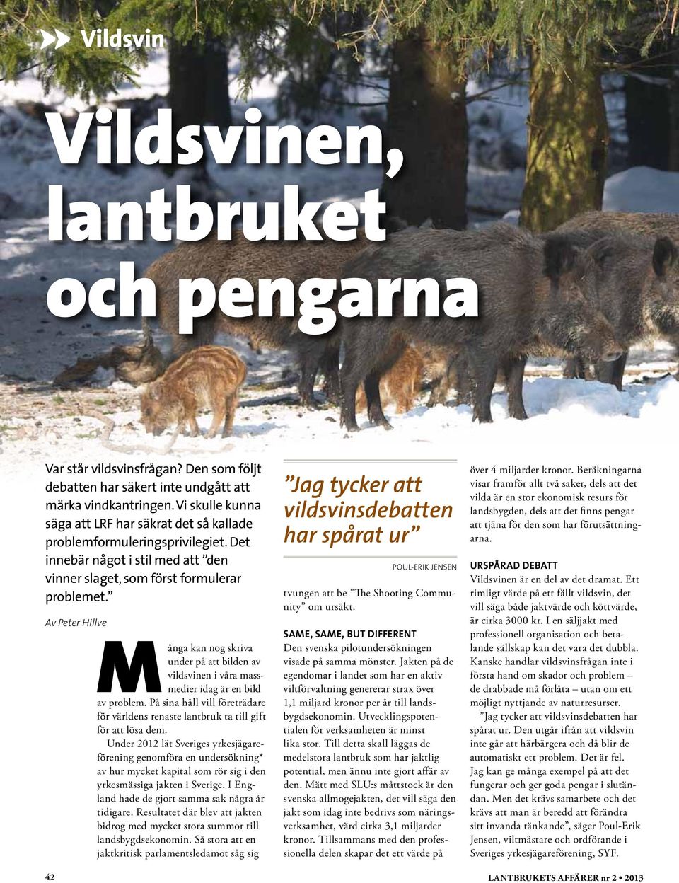 Många kan nog skriva under på att bilden av vildsvinen i våra massmedier idag är en bild av problem. På sina håll vill företrädare för världens renaste lantbruk ta till gift för att lösa dem.