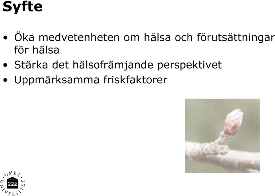 hälsa Stärka det hälsofrämjande