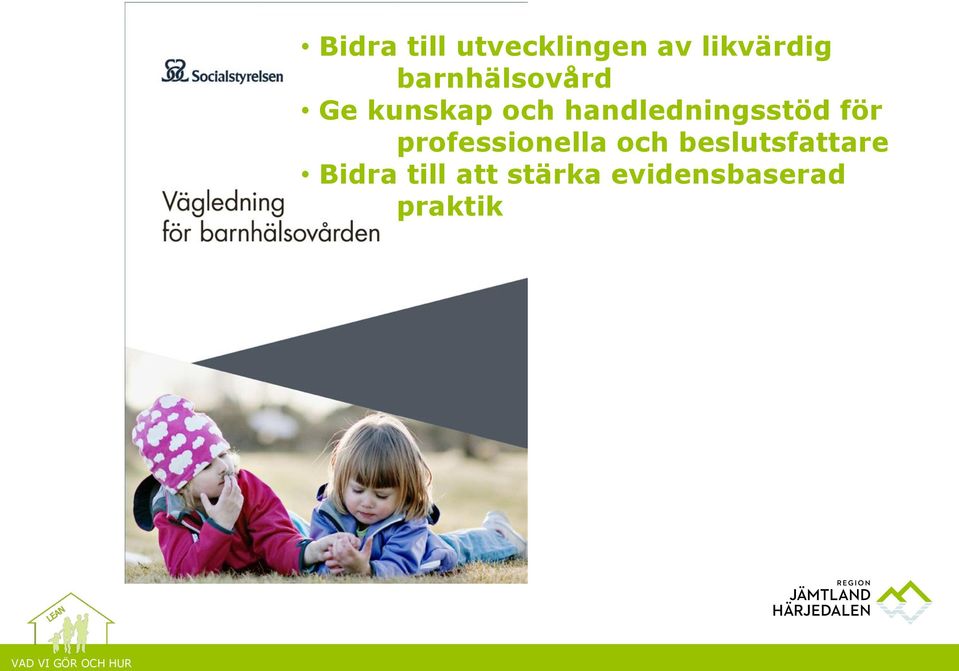 handledningsstöd för professionella och