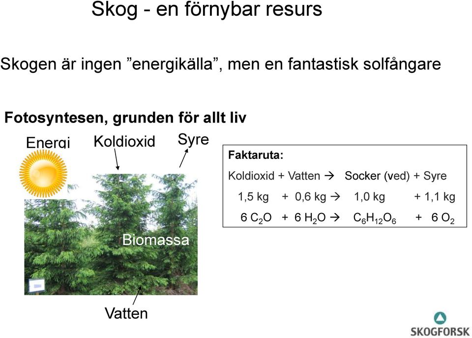 Koldioxid Syre Faktaruta: Koldioxid + Vatten Socker (ved) + Syre 1,5