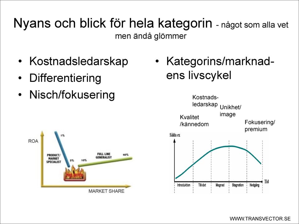 Nisch/fokusering Kategorins/marknadens livscykel