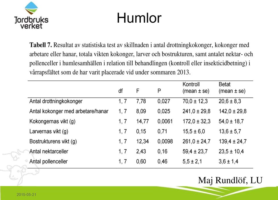 humlesamhällen i relation till behandlingen (kontroll eller insekticidbetning) i vårrapsfältet som de har varit placerade vid under sommaren 2013.