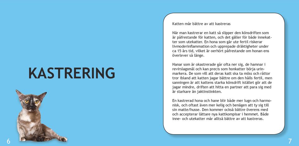 KASTRERING Hanar som är okastrerade går ofta ner sig, de hamnar i revirslagsmål och kan precis som honkatter börja urinmarkera.