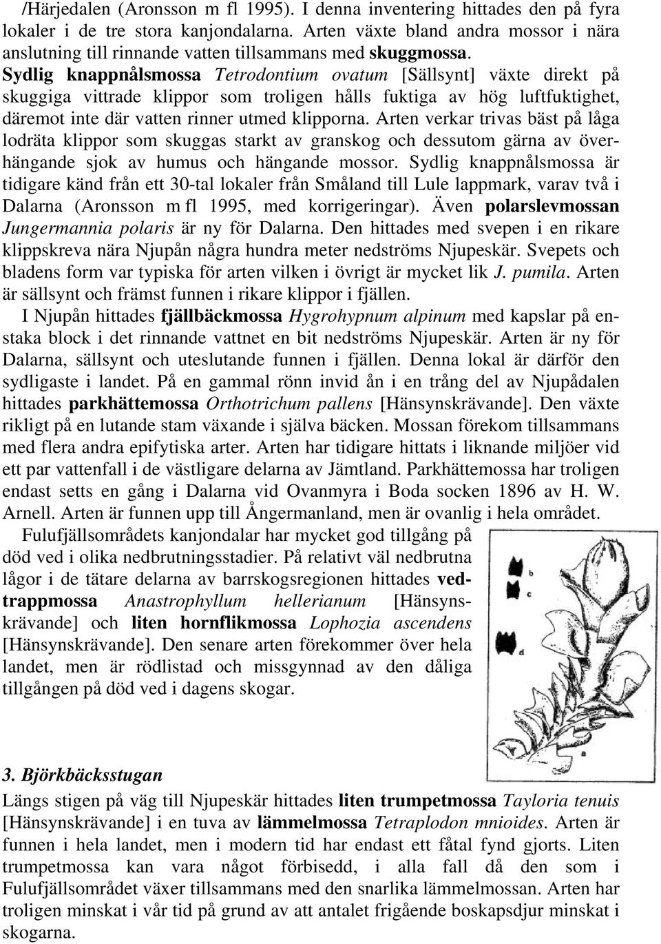 Sydlig knappnålsmossa Tetrodontium ovatum [Sällsynt] växte direkt på skuggiga vittrade klippor som troligen hålls fuktiga av hög luftfuktighet, däremot inte där vatten rinner utmed klipporna.