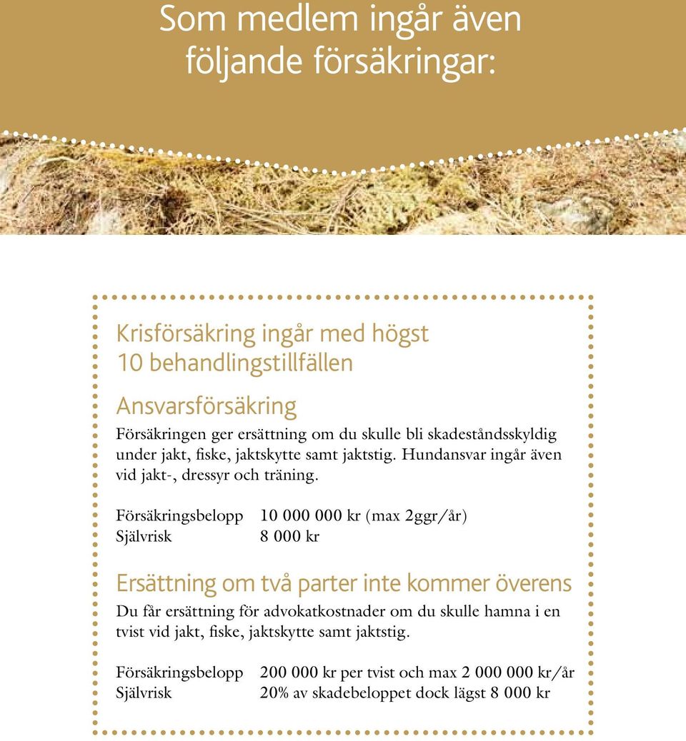 Försäkringsbelopp 10 000 000 kr (max 2ggr/år) Självrisk 8 000 kr Ersättning om två parter inte kommer överens Du får ersättning för advokatkostnader om du